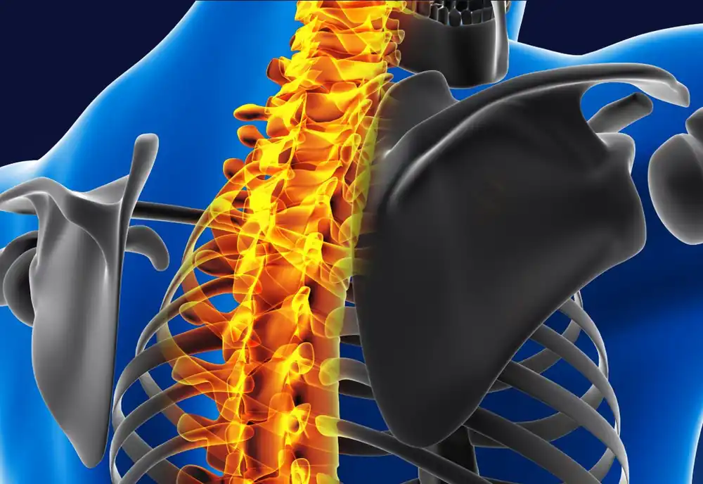 Ilustrație 3D a coloanei vertebrale cu zona cervicală evidențiată