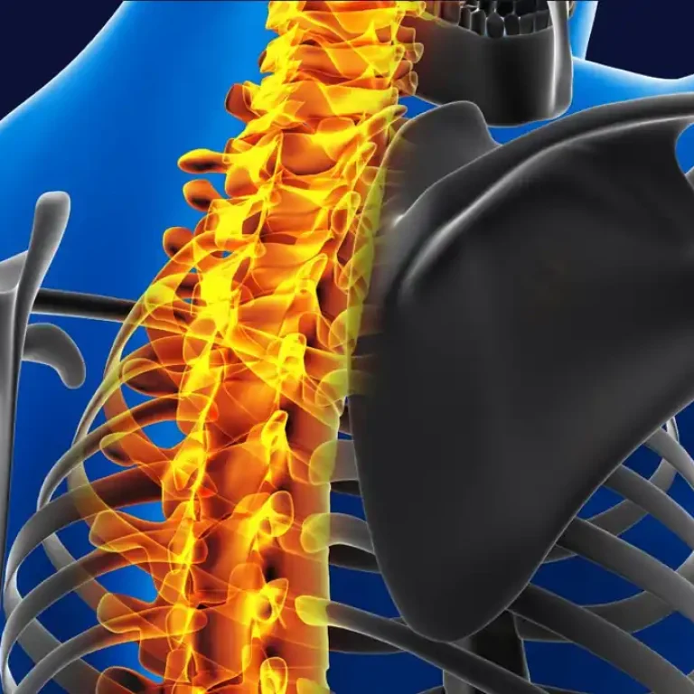 Ilustrație 3D a coloanei vertebrale cu zona cervicală evidențiată